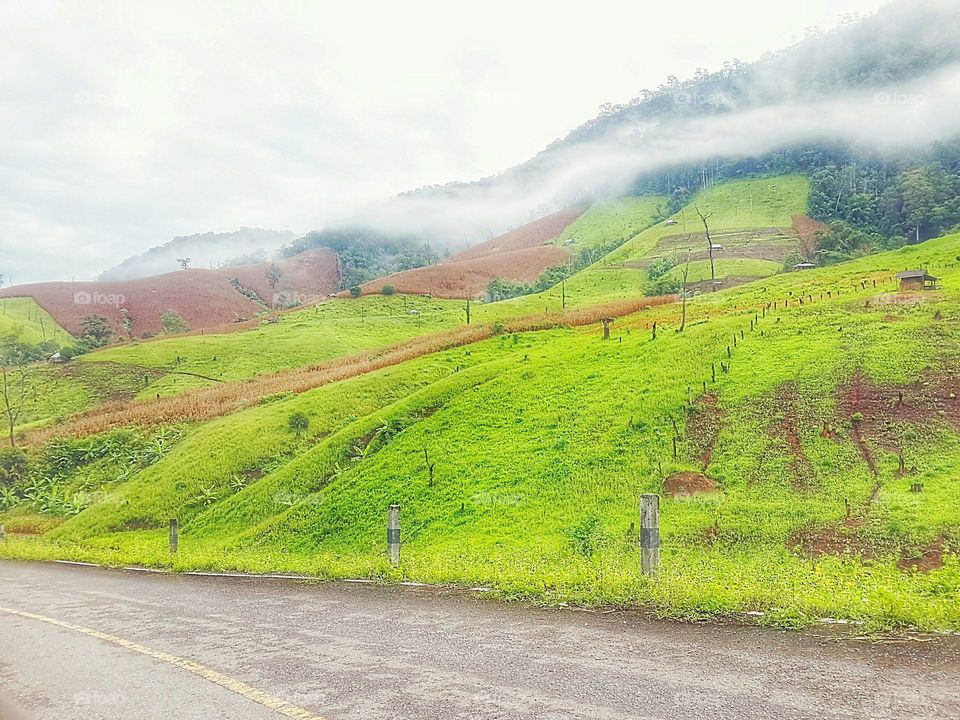 landscape  near street Maelaluang