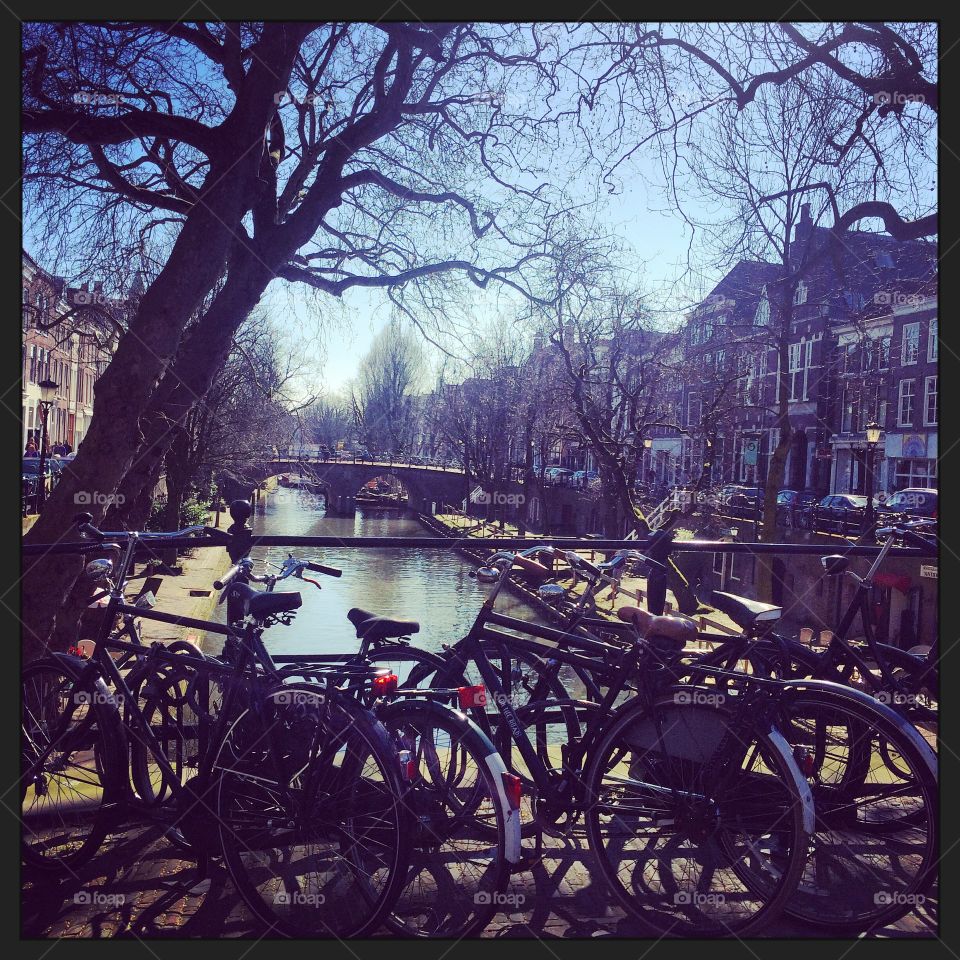 Bicycles along the Canal. Lots of bicycles parked along one of the great canals of the Netherlands, in Utrecht 