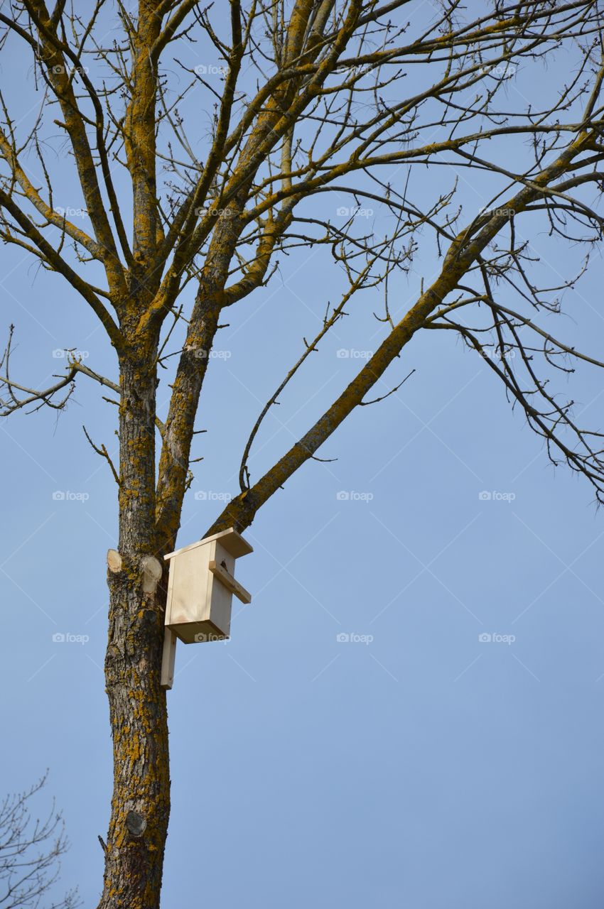 nesting box