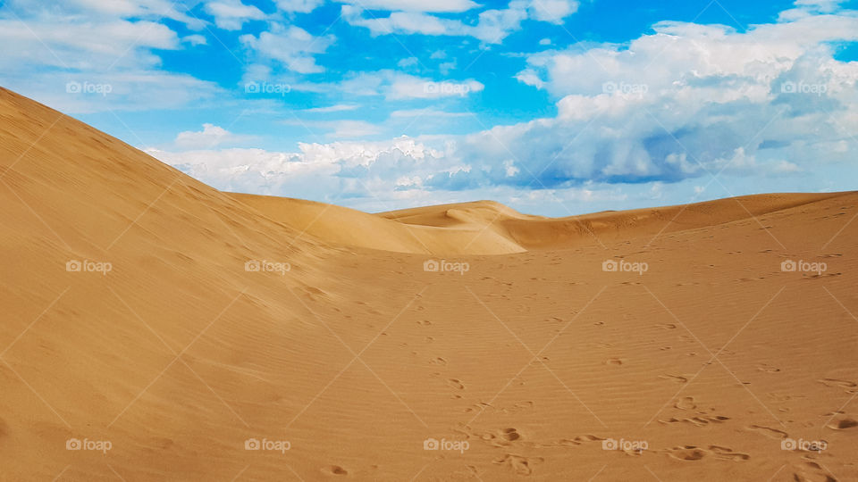 Landscape of a desert during day without people 