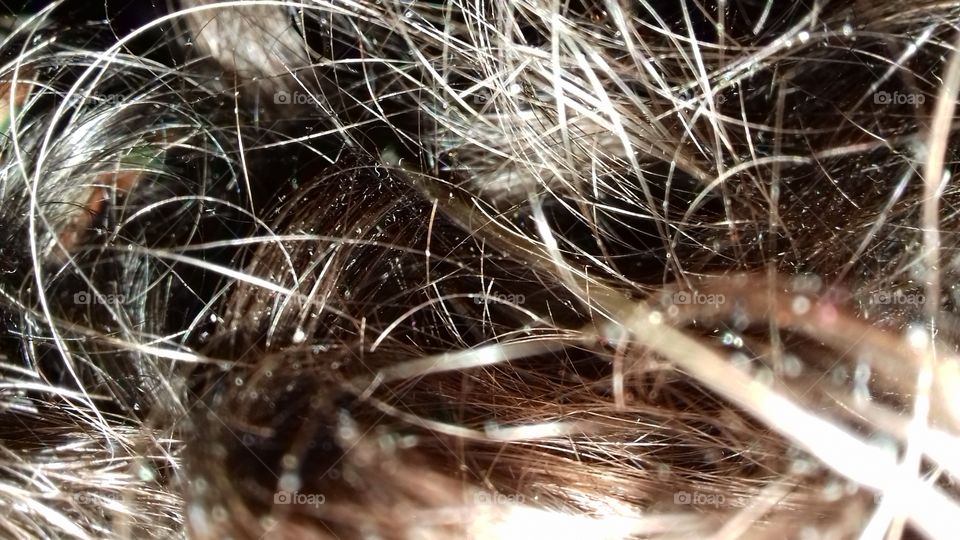 rambut ikal