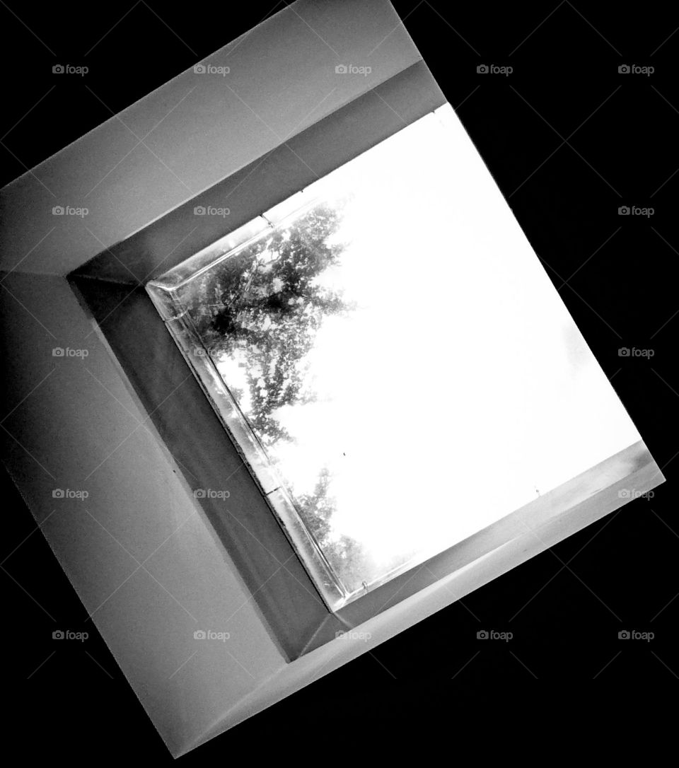 mono skylight nature v man-made