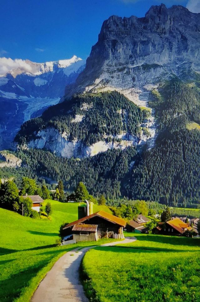 Beautiful nature! 😍 Green!
