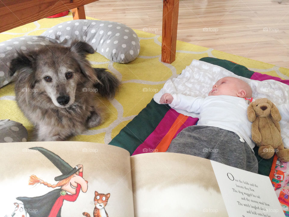 Cute baby lying on bed with dog