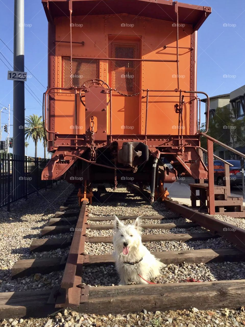 Mac at the train museums