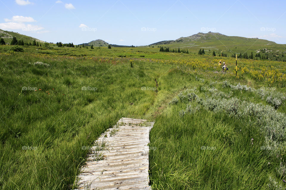 Road to nowhere, grass landscape