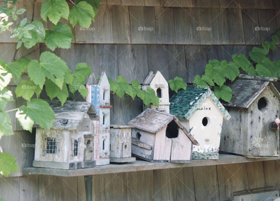 Collection of birdhouse