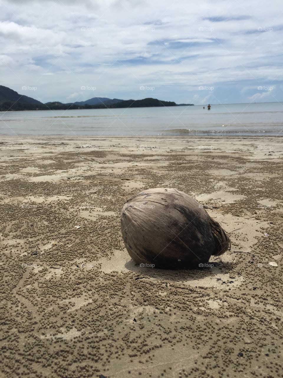 Coconut on the beach. Coconut. Beach. Thailand. Koh Lanta.