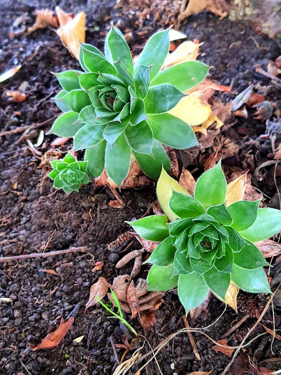 Money color ....😉🤗💶