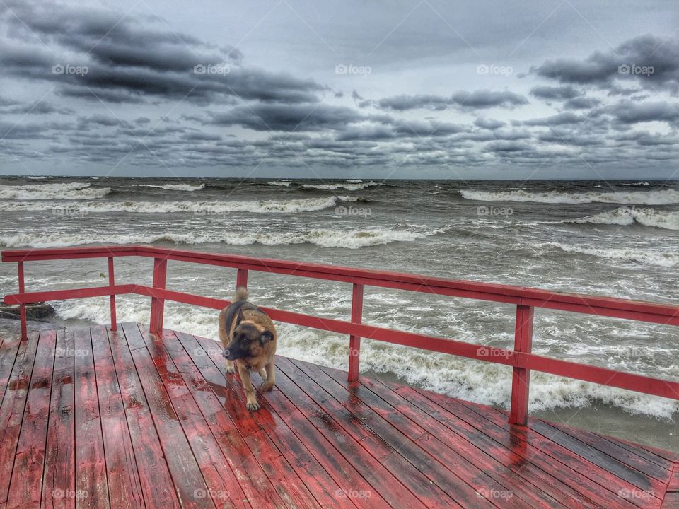 Waves on the lake