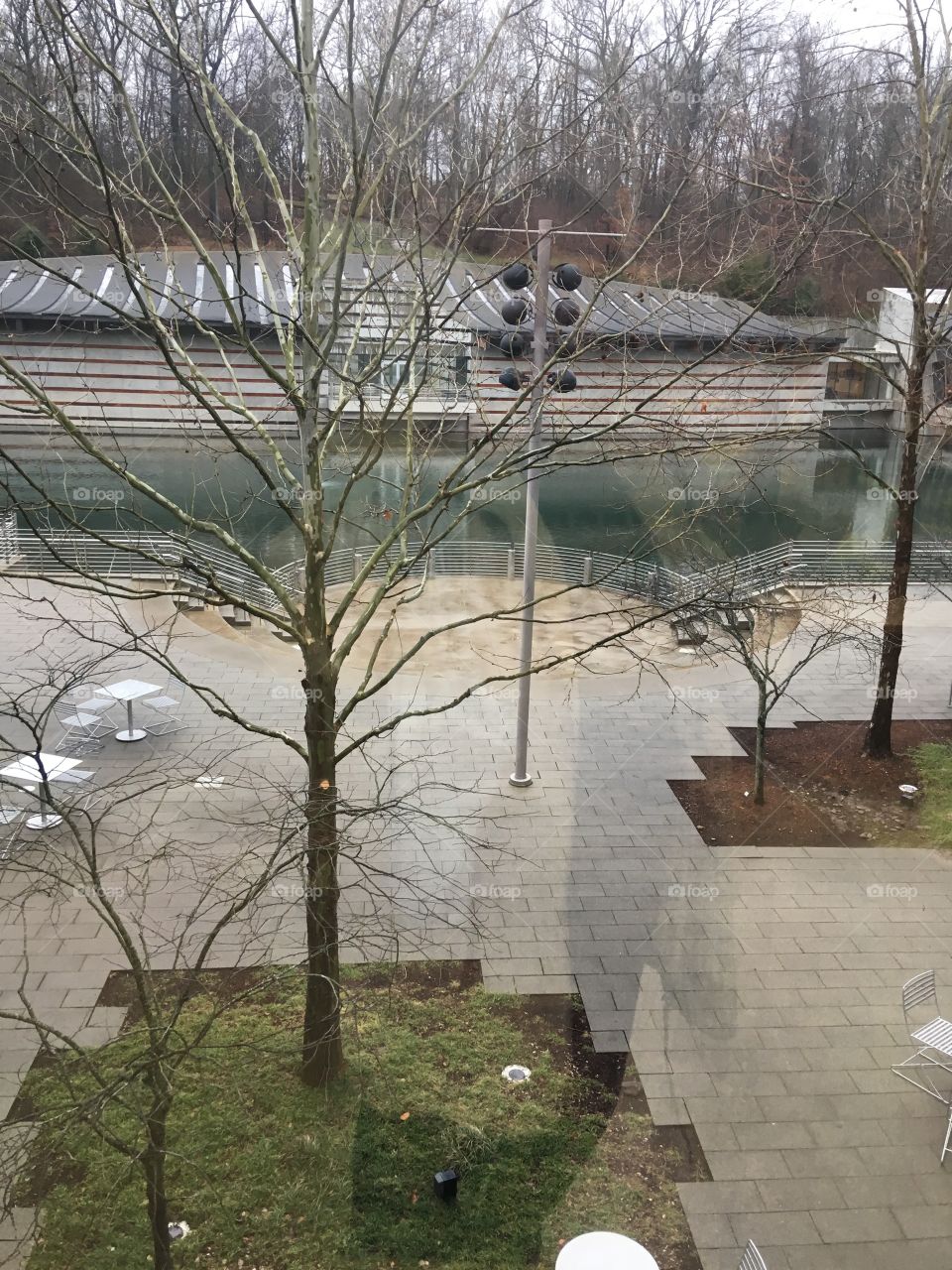 Taking a peek outside at the pond here at crystal bridges. I wonder if they’re fish.