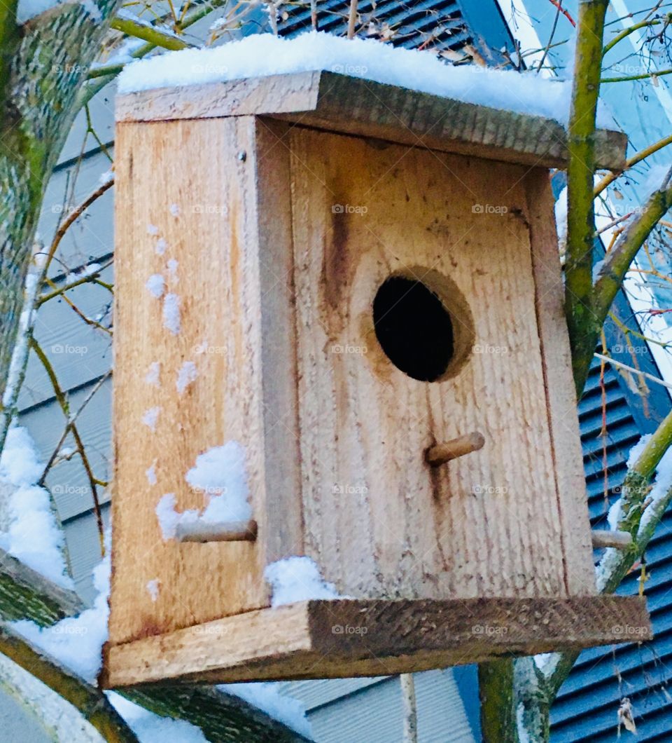 Birdhouse in snow