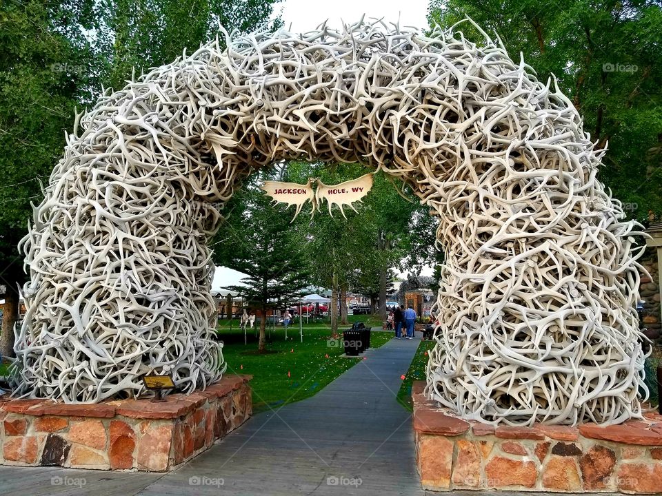 Arch of Antlers