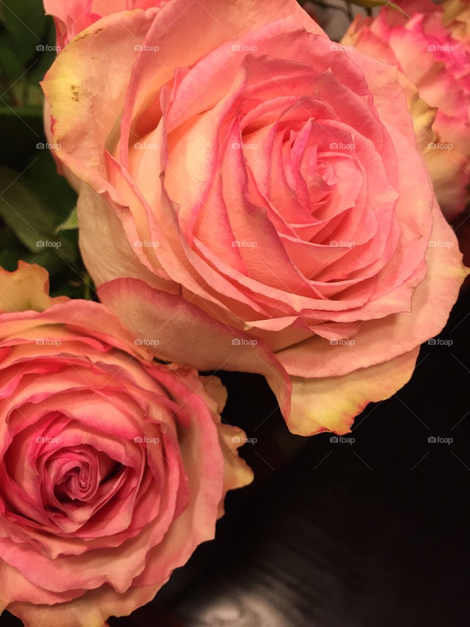 Pink birthday roses