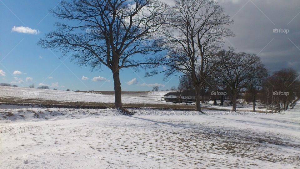 Winter in Denmark