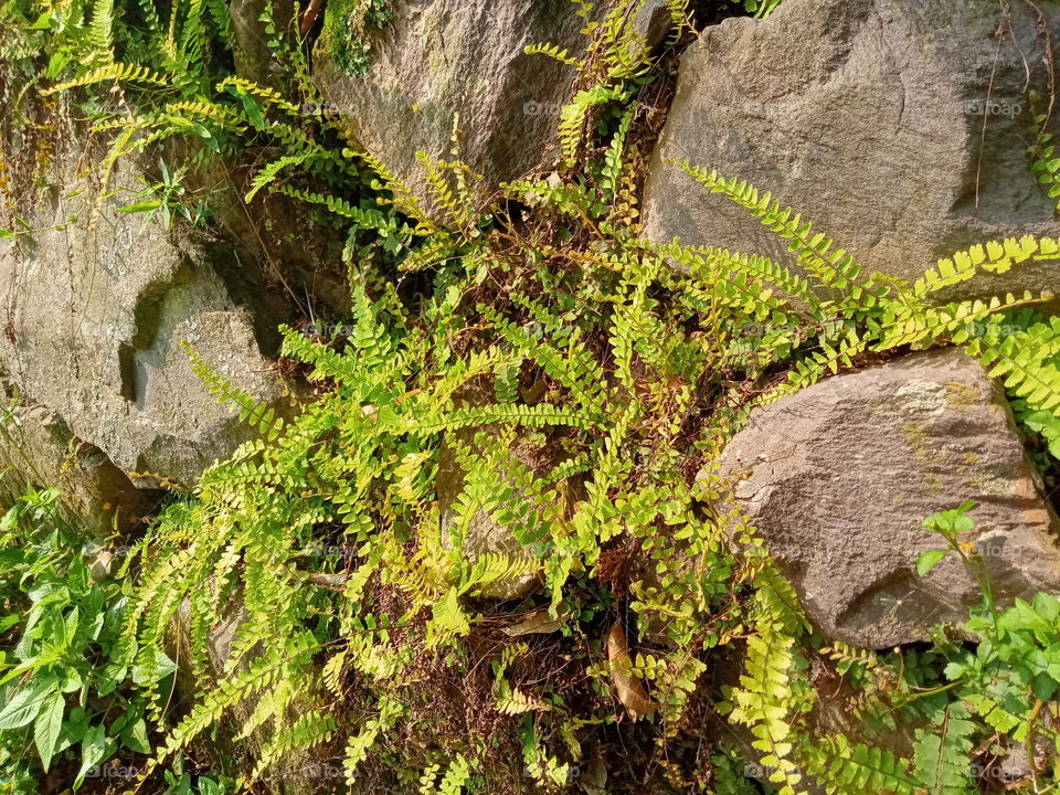 Even hardships can't obstruct your growth