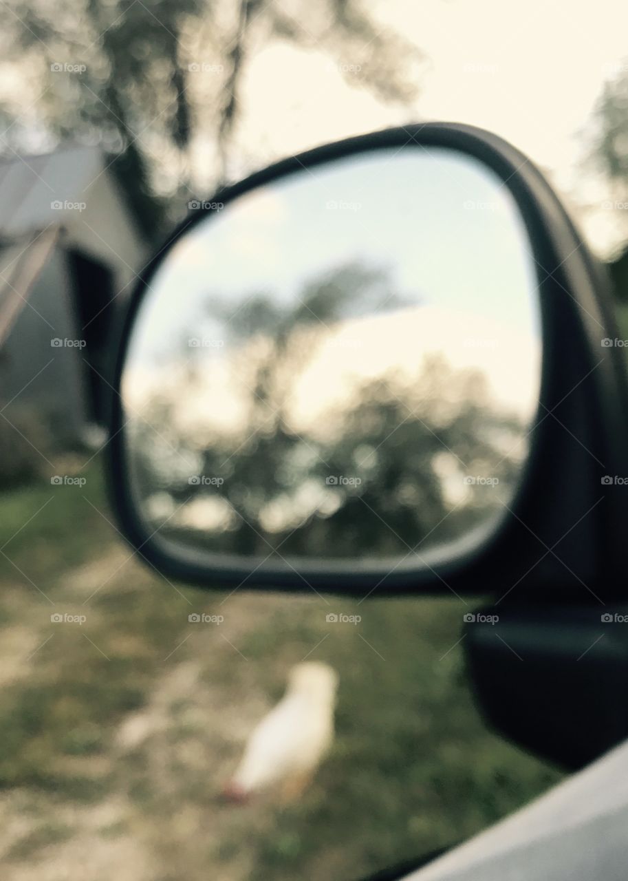 Blurred Mirror Contrast