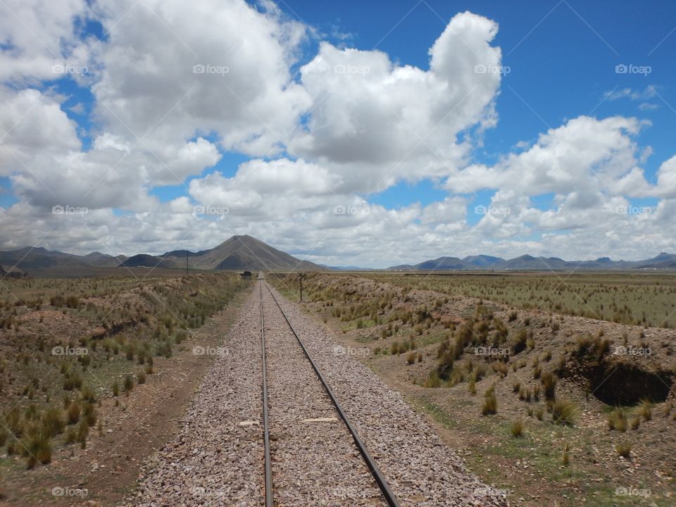 Rails in the Andes 
