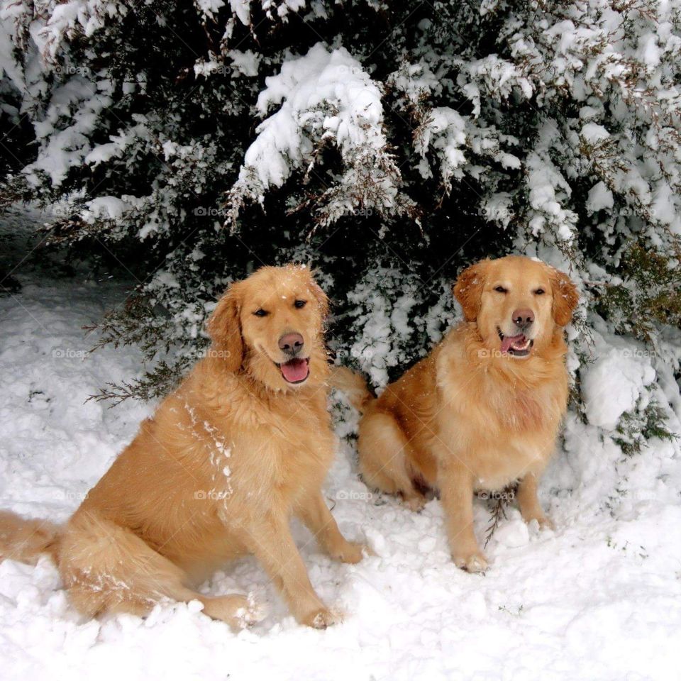 winter snow time fun