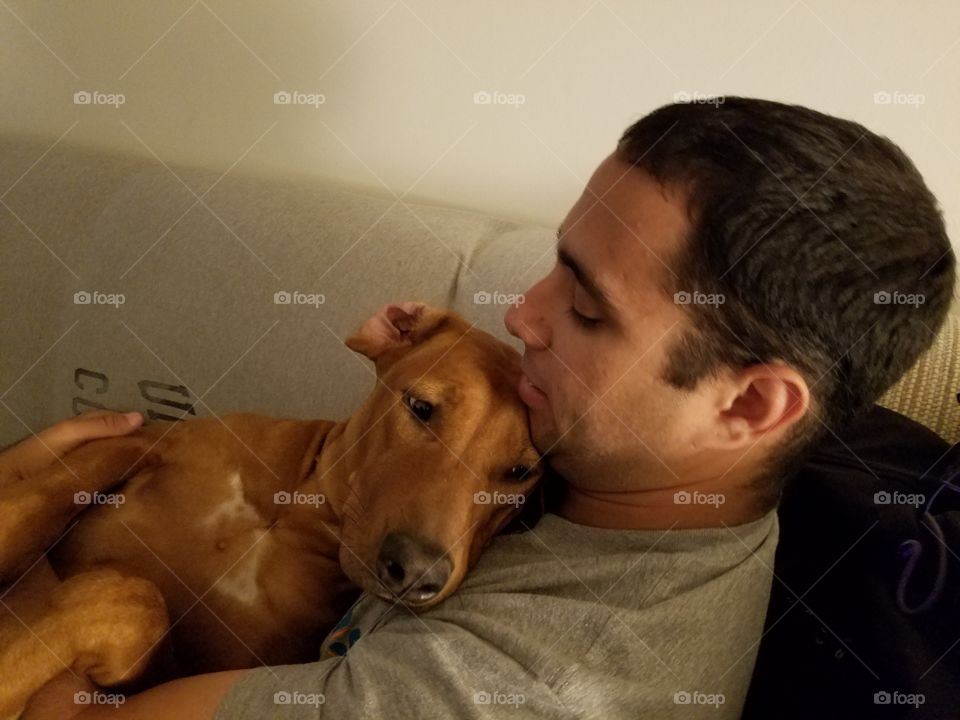 Rhodesian Ridge back