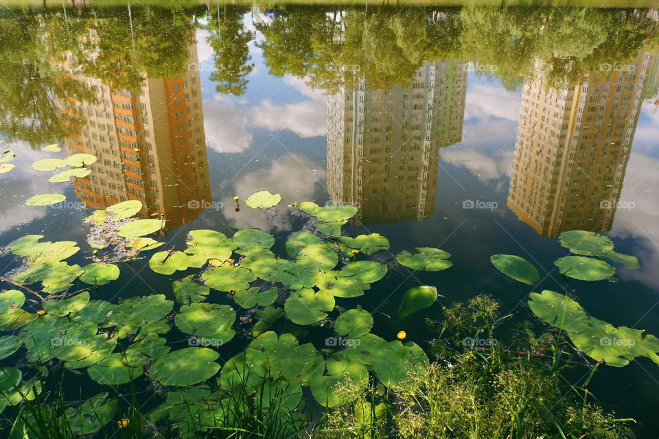 mirror image of houses in the lake of the park of the city of Kiev