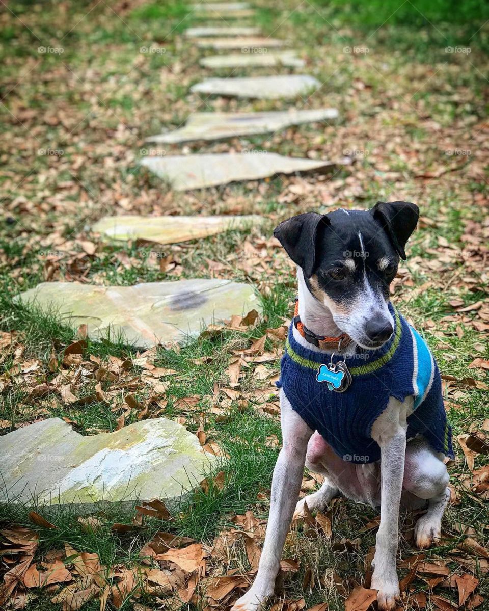 Stepping stones