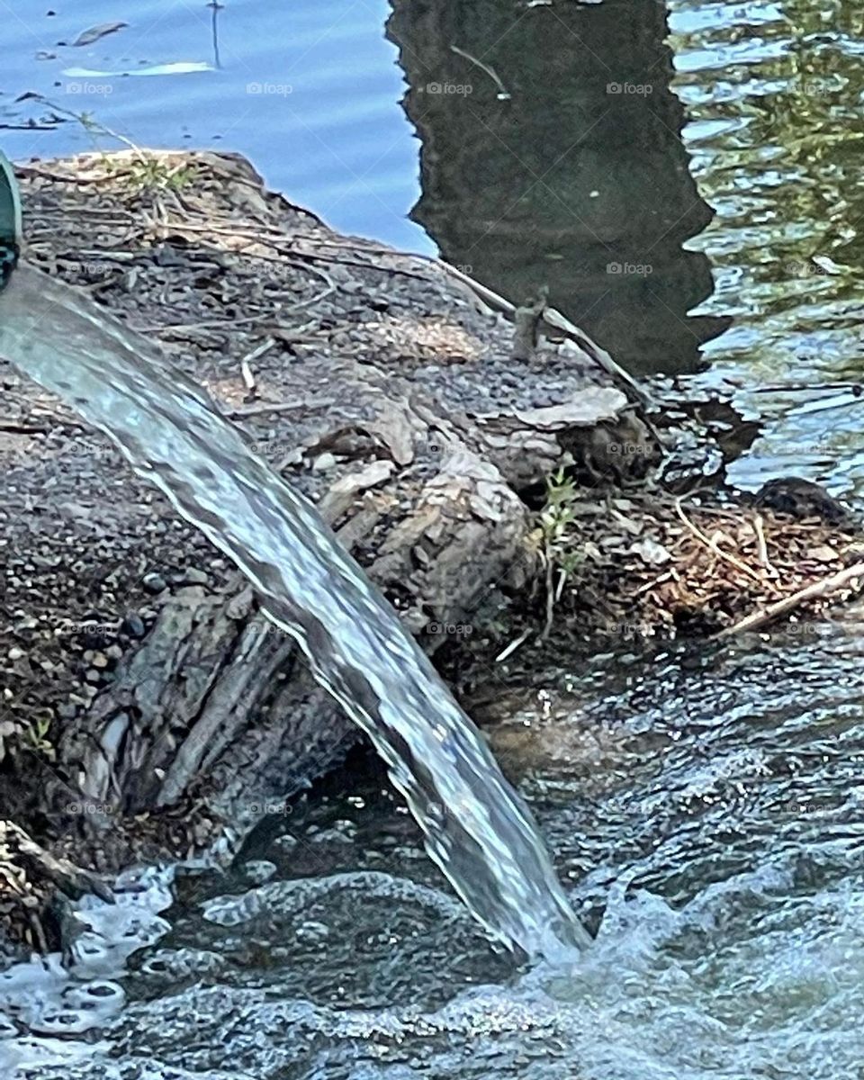 Beautiful natural flow of life.