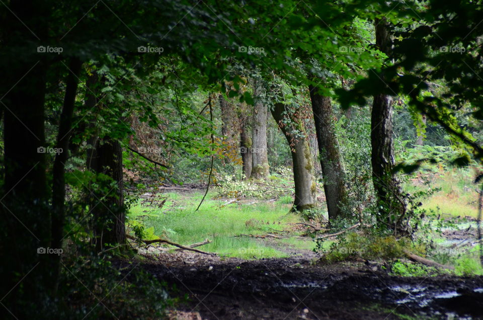 On the way to paradise ...