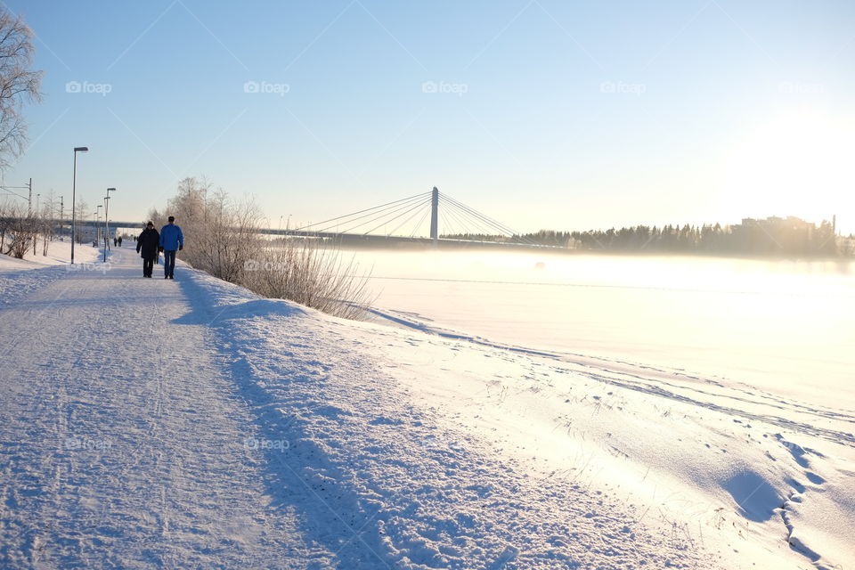 Winter, Snow, Cold, Frozen, Frost