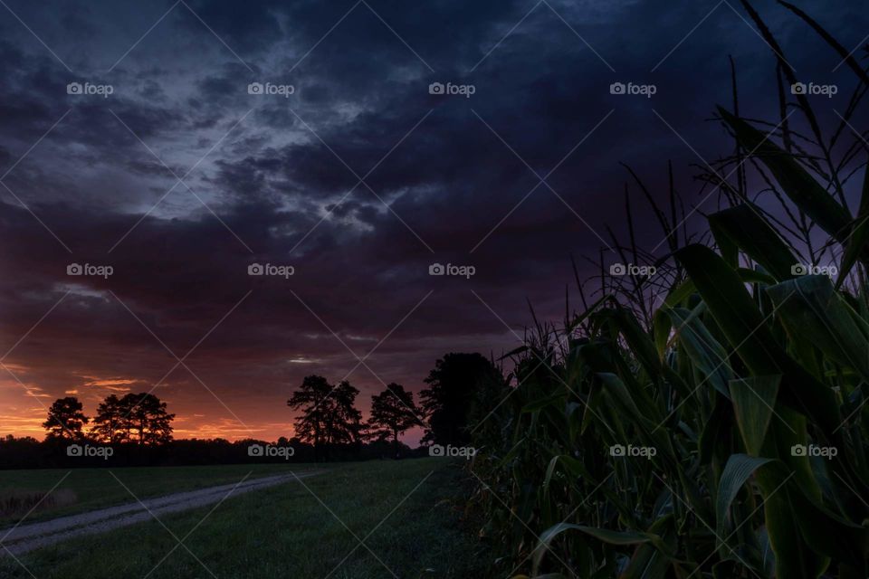 Foap, Landscapes of 2019: Morning twilight on the farm. Raleigh, North Carolina. 