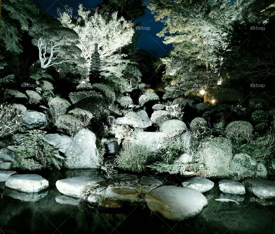 Japanese garden at night