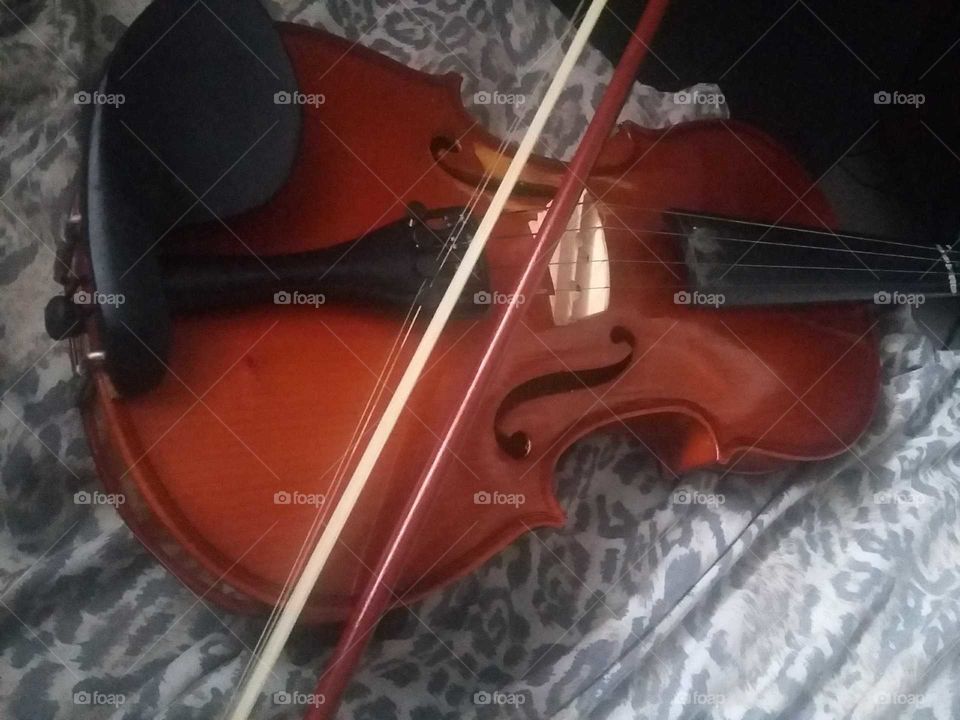 Linda foto de um violino, com seu arco entrelaçando suas cordas.