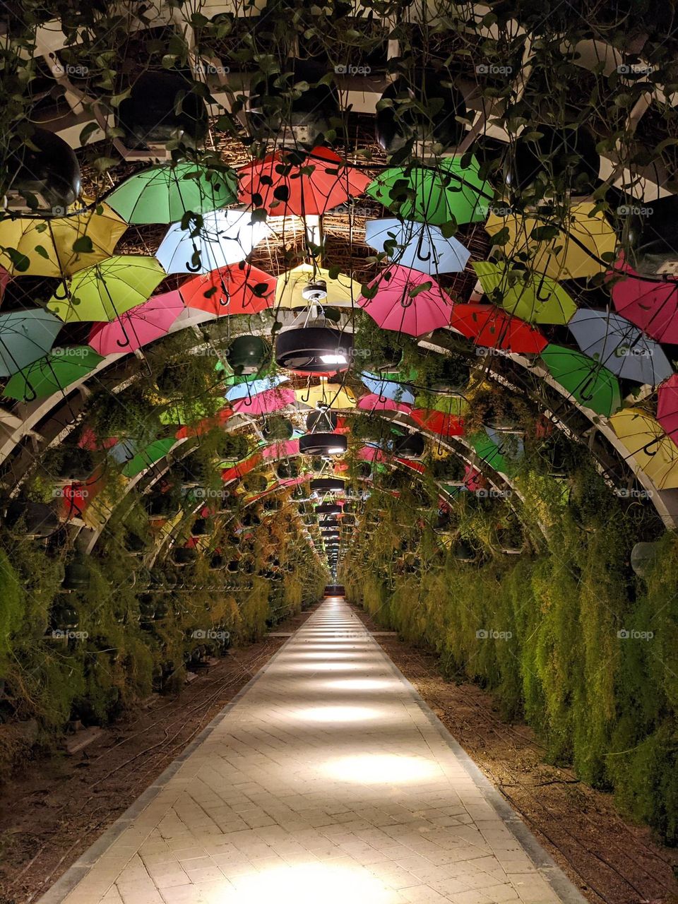 beautiful umbrella park in Riyadh night view