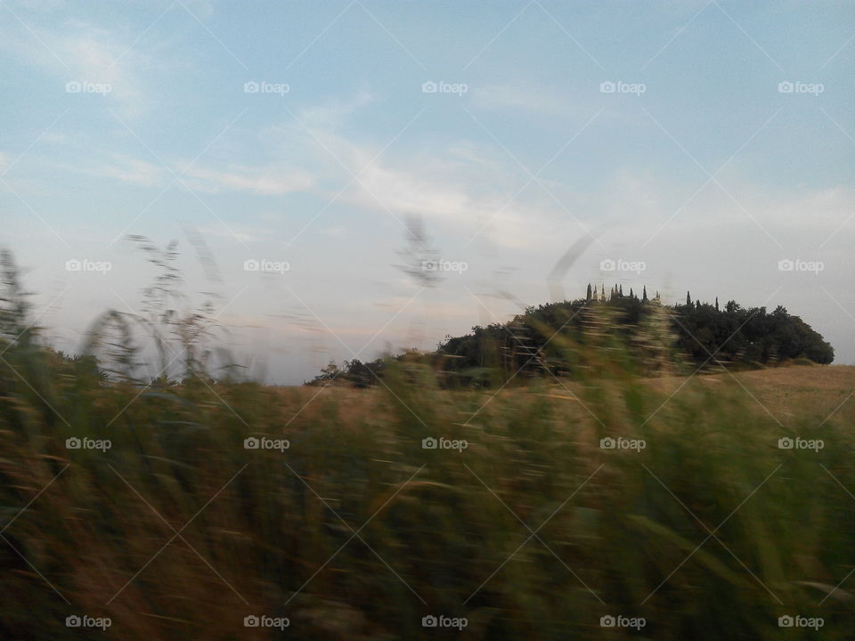 Landscape, Fog, Tree, Sky, Dawn
