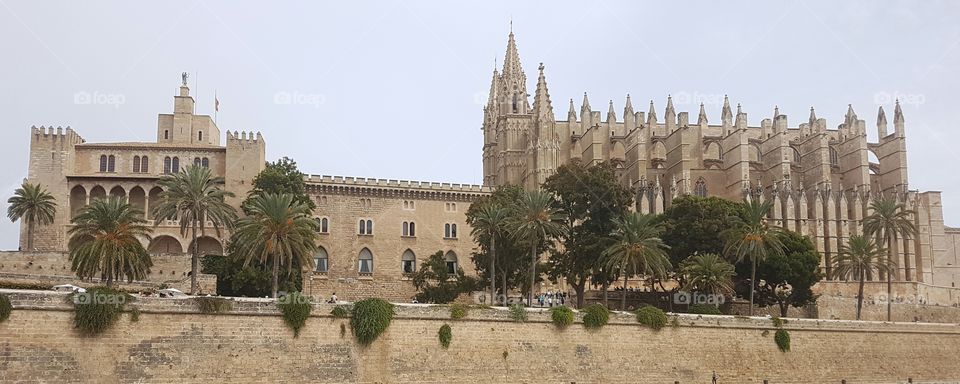 Cathedral De Palma, Mallorca