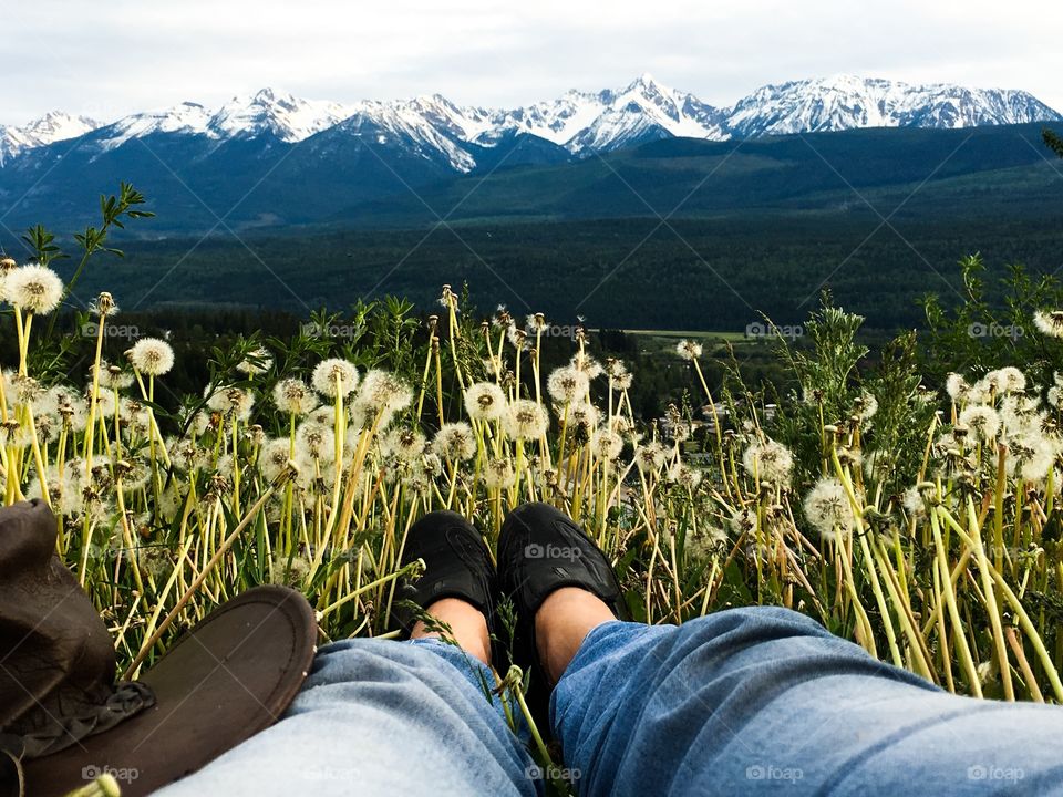 View from alpine meadow of valley and Canada's Rocky Mountains a gorgeous range of Snowcapped peaks near golden British Columbia just outside of Alberta and Banff 