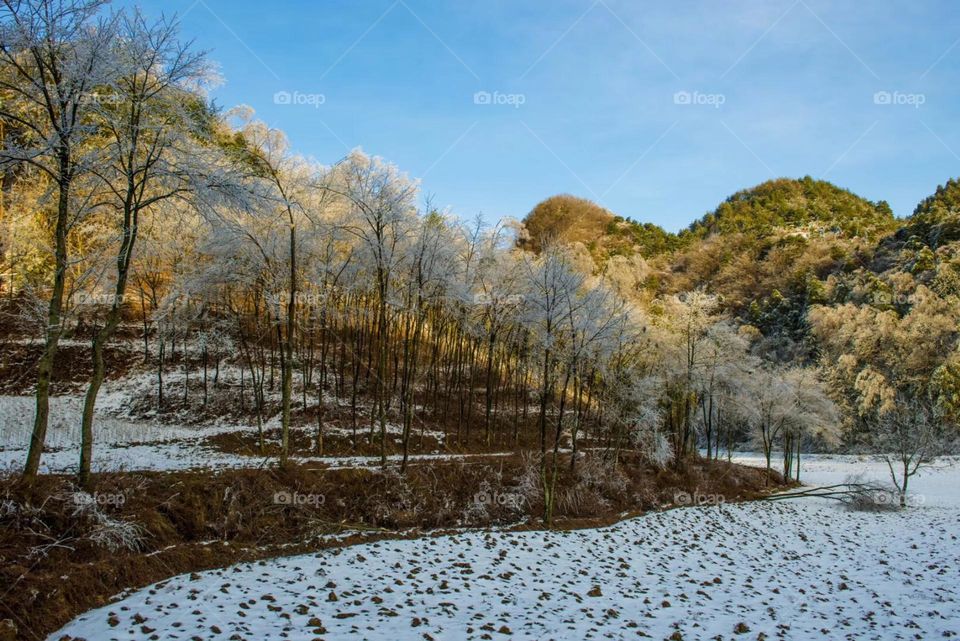 Nature’s icy artistry 