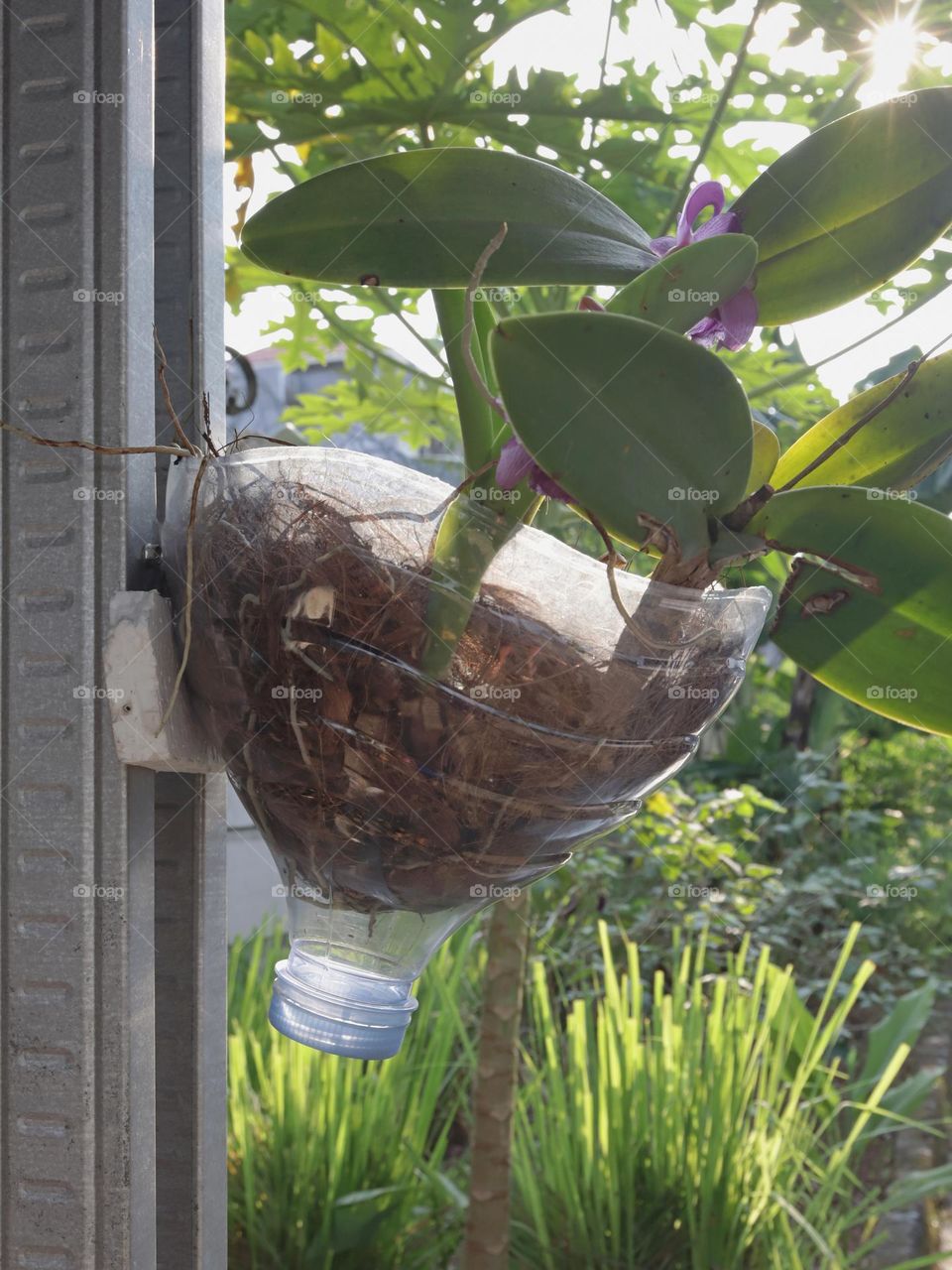 Re-use of mineral water plastic bottle.