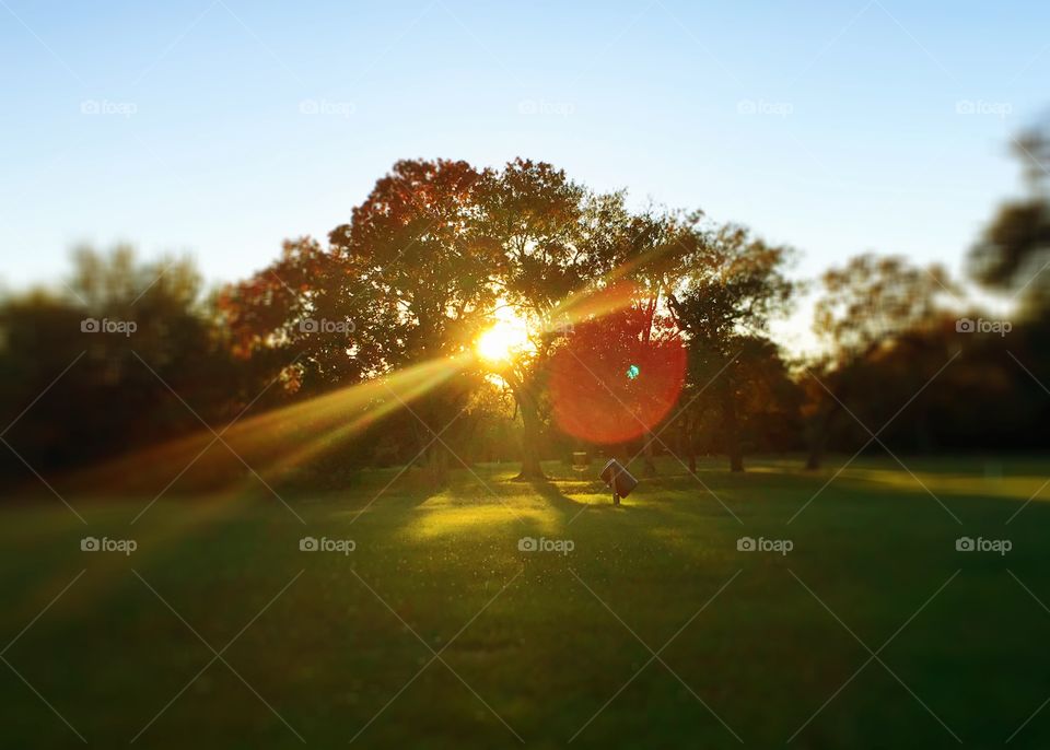 Sunset, Landscape, Light, Dawn, Nature