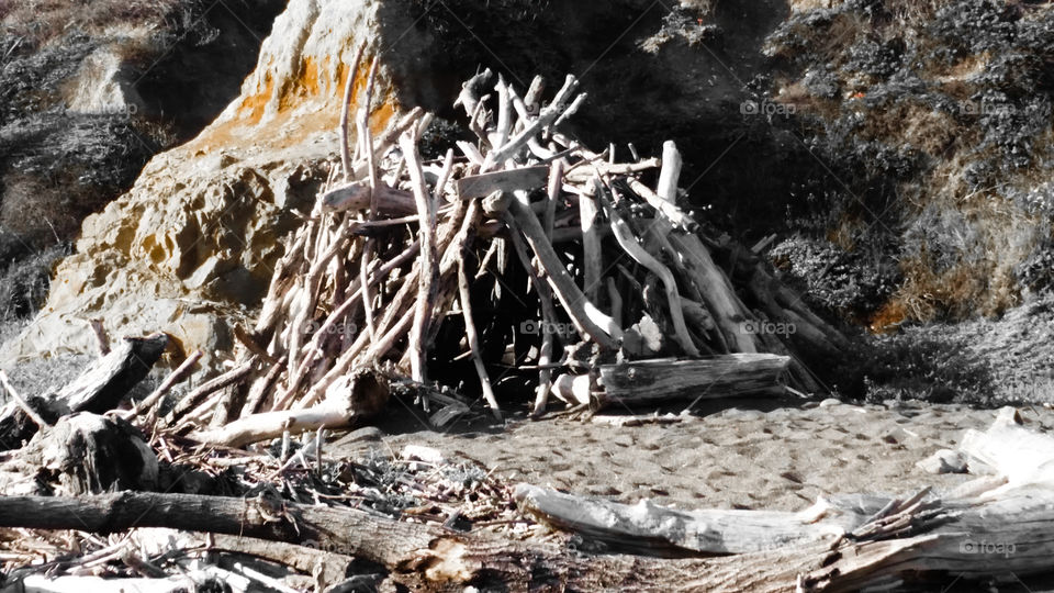 Driftwood hideout