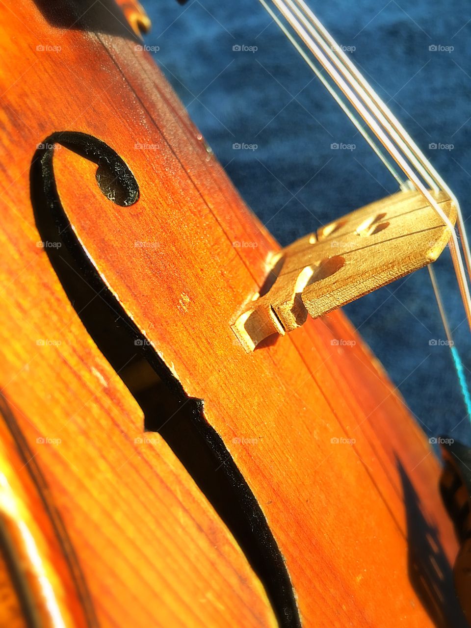 Closeup of violin bridge