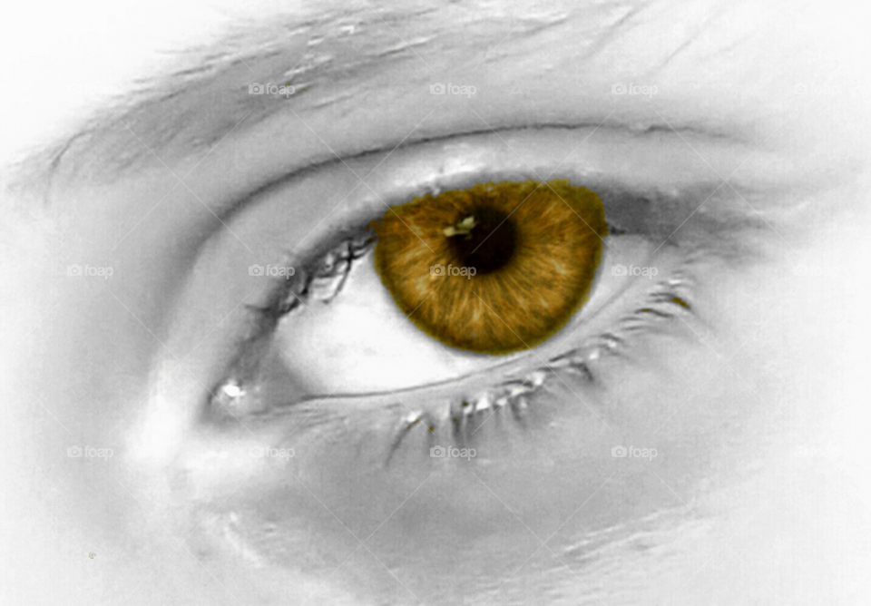 Colorsplash brown eye!