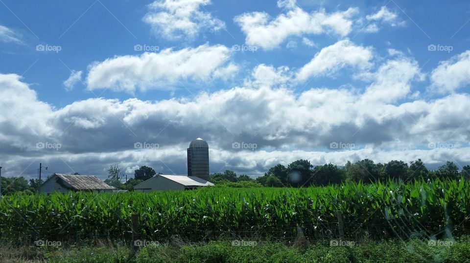 farm land, corn, and clouds with a silo