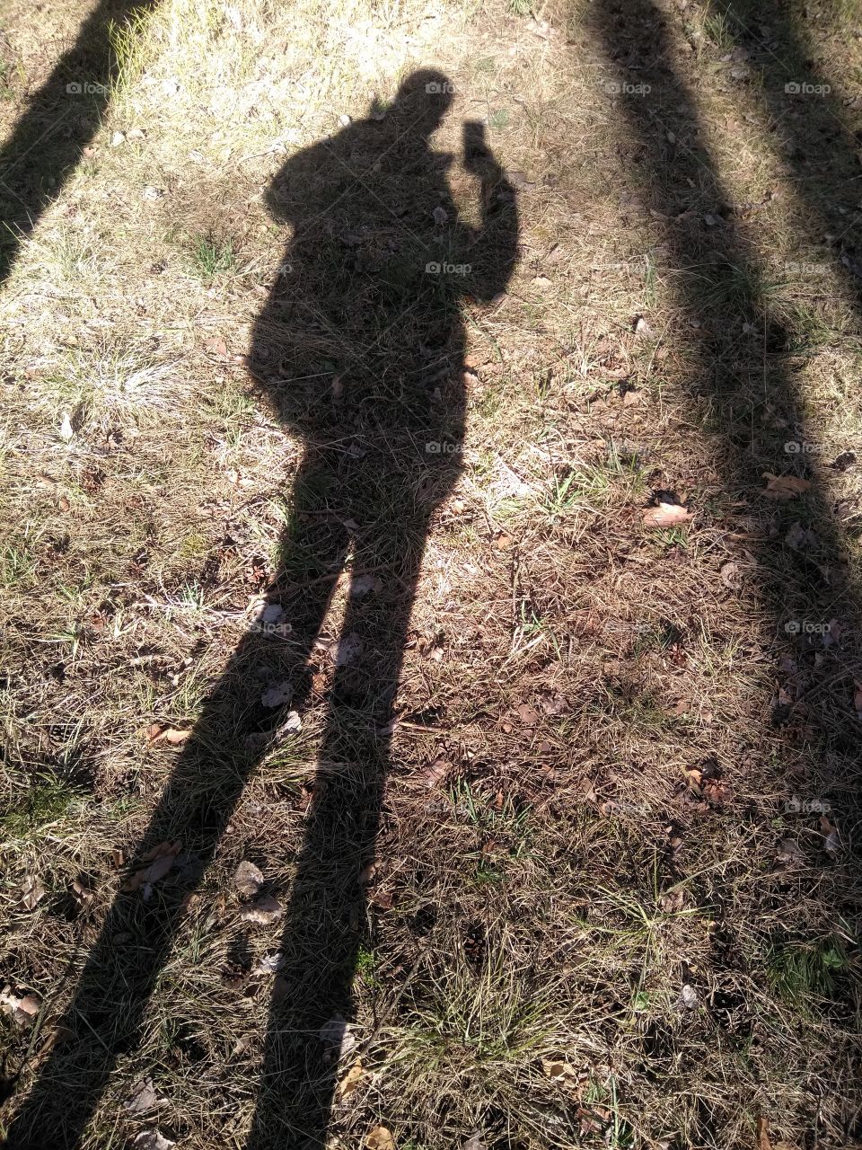 shadow person in nature spring time isolation social distance