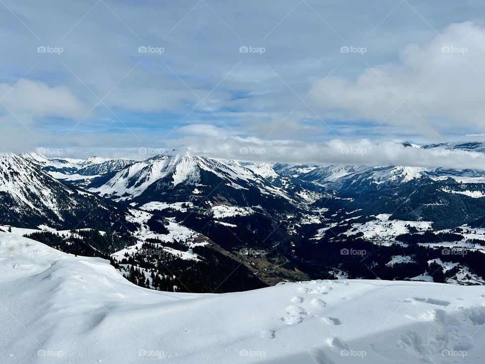 Snowy landscape