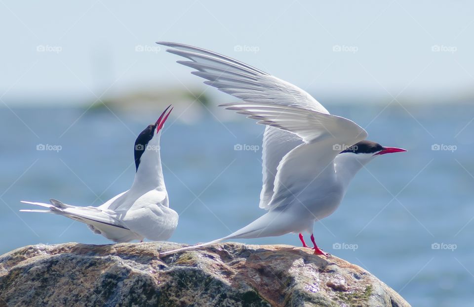 Kuggeboda, Ronneby, Sweden