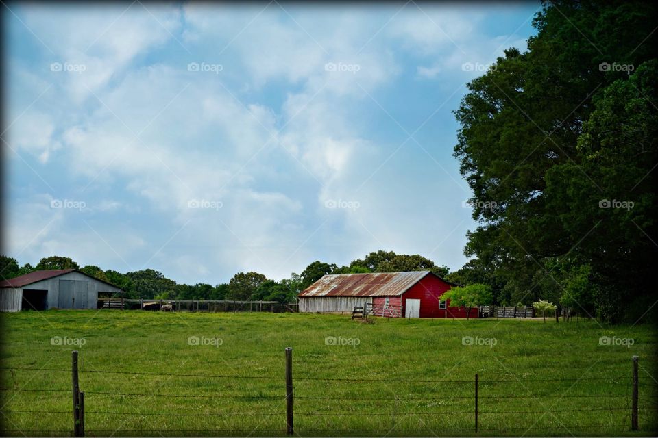 Typical Mississippi farm