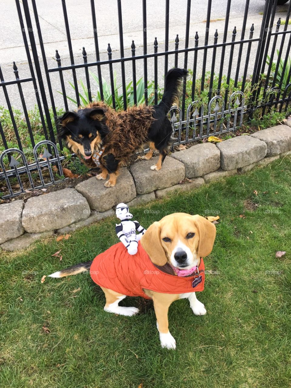 Be difference! Be yourself! 