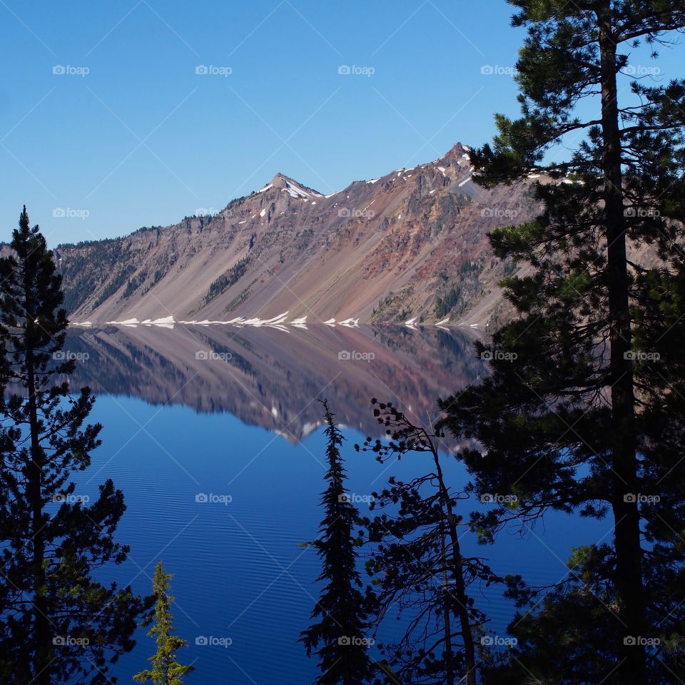 The rugged rim reflecting in the stunning Crater Lake on a beautiful summer morning in Southern Oregon. 