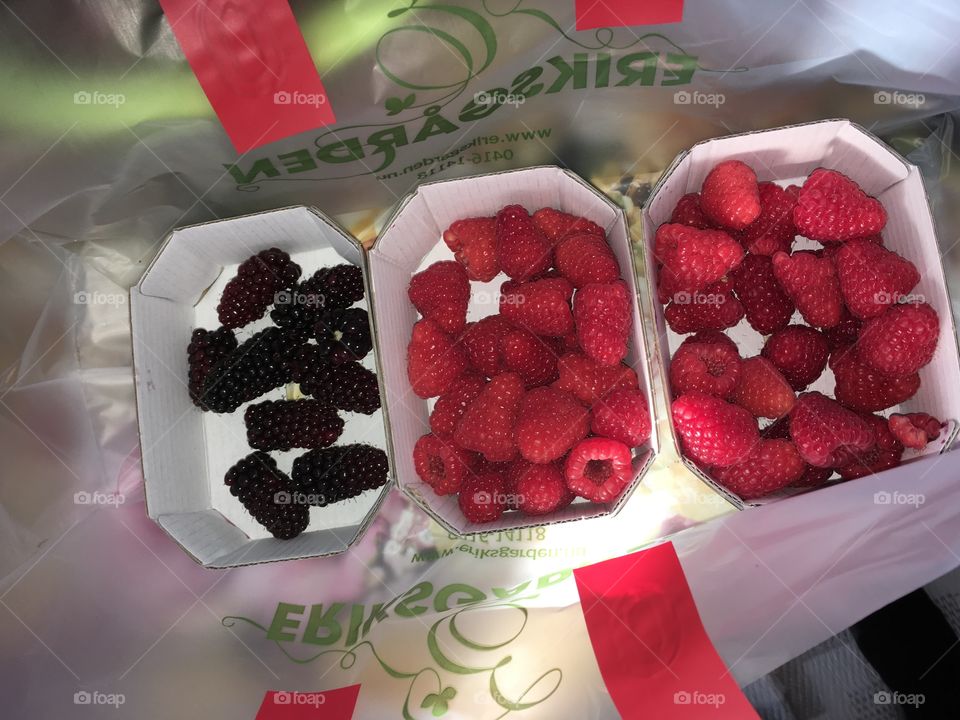 raspberries 